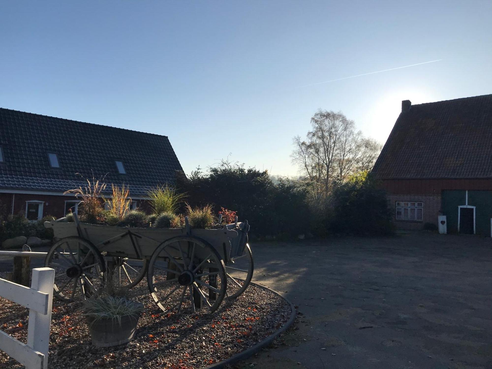 Moderne Ferienwohnung Auf Gut Bennewohld Wl Heide (Schleswig-Holstein) Exterior foto